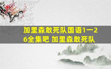 加里森敢死队国语1一26全集吧 加里森敢死队